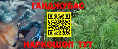шишки Ипатово