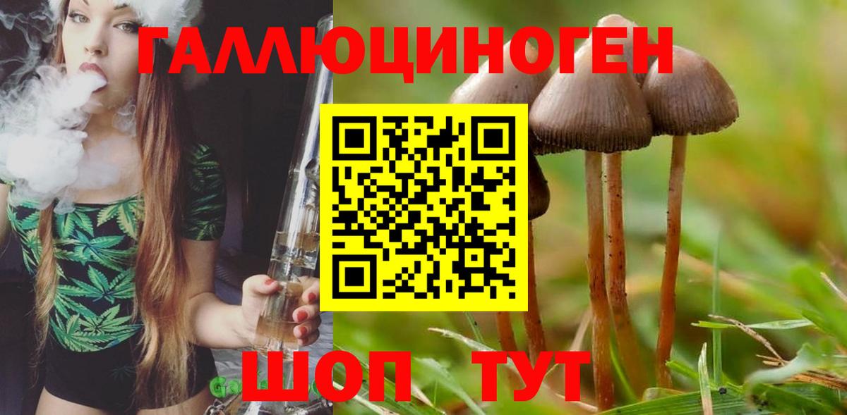 Галлюциногенные грибы Psilocybe  Вход с VPN  Набережные Челны  Галлюциногенные грибы прущие грибы 